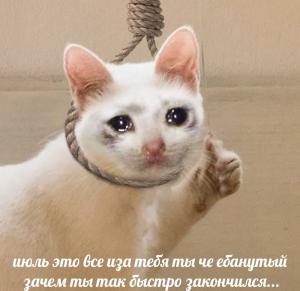 Фотография Детский сад №256 3