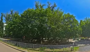 Фотография Ягодка 3