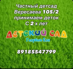 Фотография Голубые ели 0