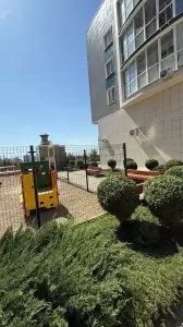 Фотография Фокус IQ 0