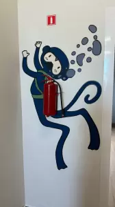 Фотография Фокус IQ 4