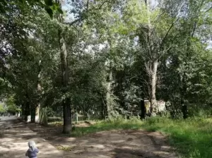 Фотография Детский сад №278 5